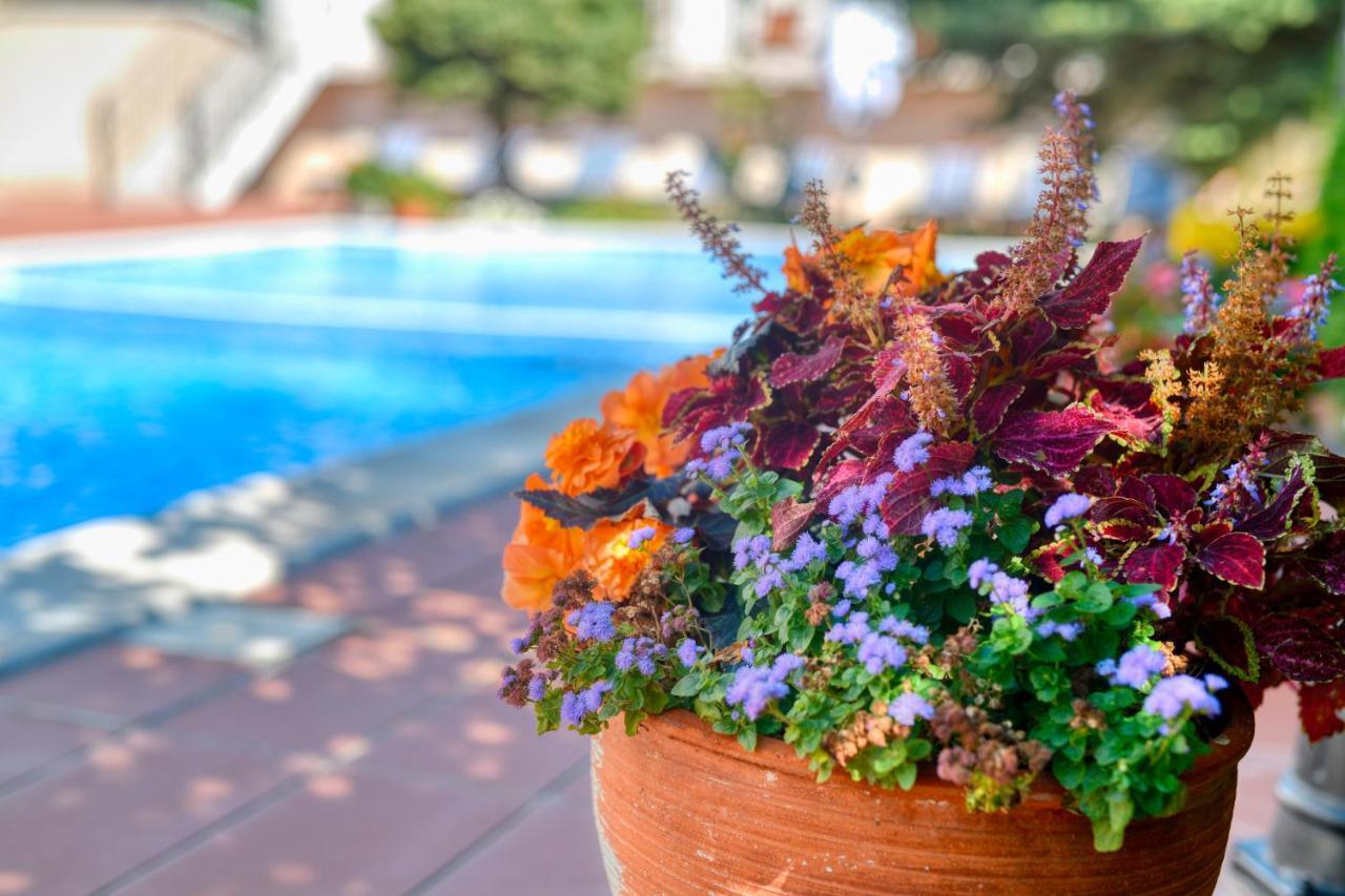 Alekta Hotel Warna Zewnętrze zdjęcie
